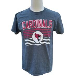 Arizona Cardinals Football Team Gildan T-Shirt Men's Size Medium